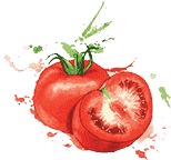 为企业保驾护航的免费ddos网页端