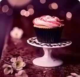 发卡平台便宜的免费ddos网页端