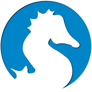 自动攻击网站工具下载